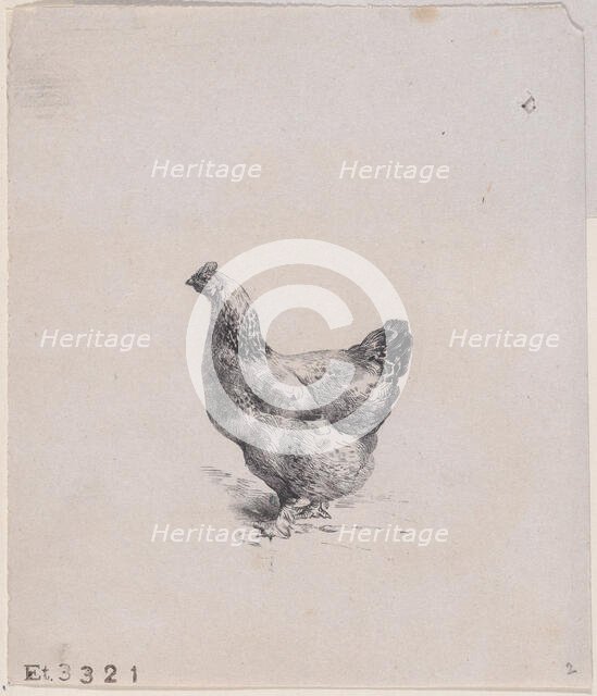 From The Henhouse, 1858. Creator: Jacques-Adrien Lavieille.