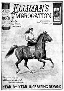 Advertisement for Elliman's Embrocation, 1898. Creator: Unknown