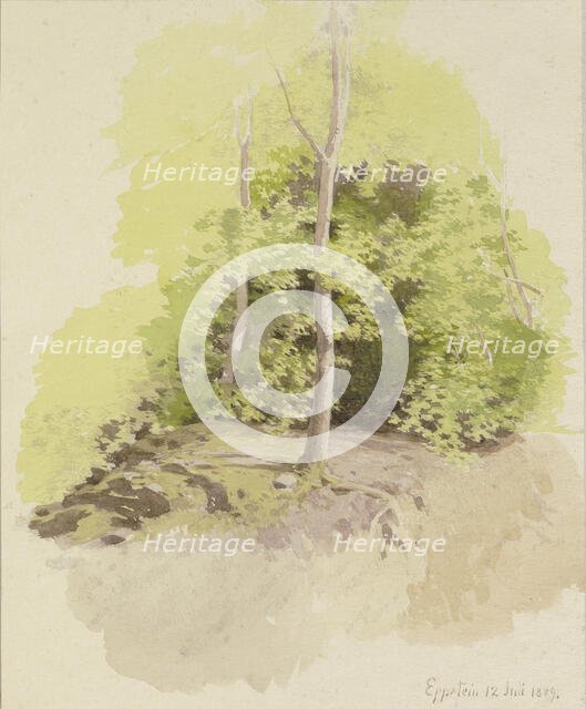 Forest section, 1889. Creator: Carl Theodor Reiffenstein.