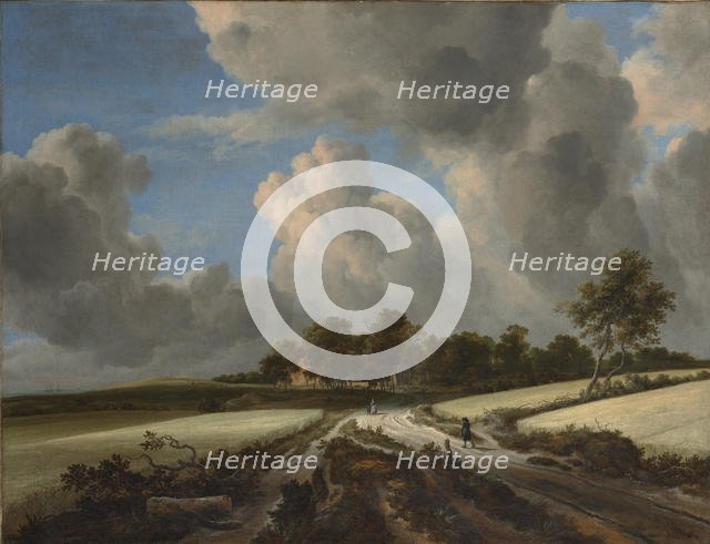 Wheat Fields, ca. 1670. Creator: Jacob van Ruisdael.