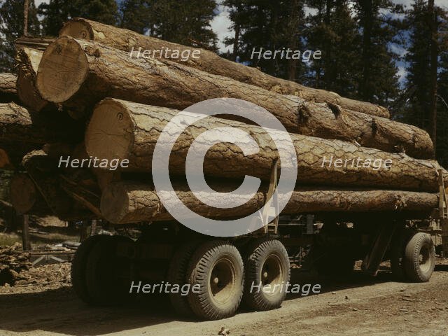 Truck load of ponderosa pine, Edward Hines Lumber Co. operations..., Grant County, Oregon, 1942. Creator: Russell Lee.