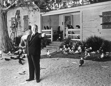 British-born American film director Alfred Hitchcock during the filming of 'The Birds', 1963. Artist: Unknown