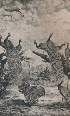 'The Peacocks', 1869, (1946). Artist: Rodolphe Bresdin.
