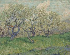 Orchard in Blossom, 1889. Creator: Gogh, Vincent, van (1853-1890).