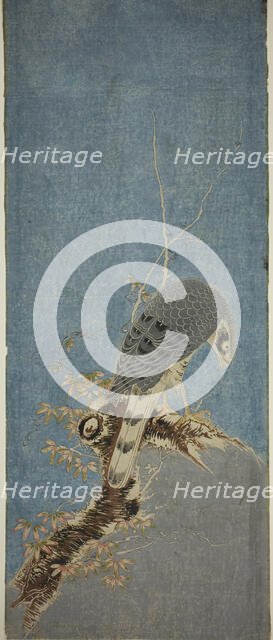 Falcon Perched on a Tree, c. 1785. Creator: Isoda Koryusai.