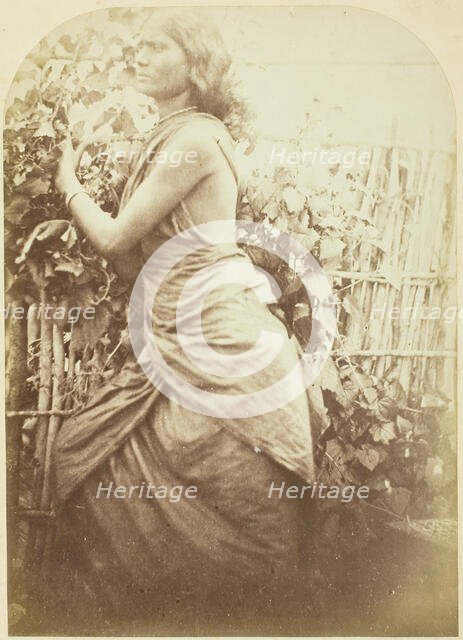 Woman, Ceylon, 1875/79. Creator: Julia Margaret Cameron.