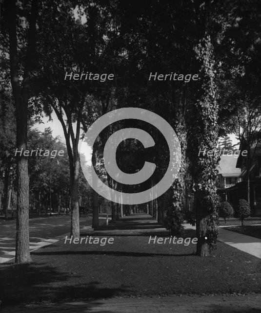 North Broadway, Saratoga, N.Y., c1904. Creator: Unknown.