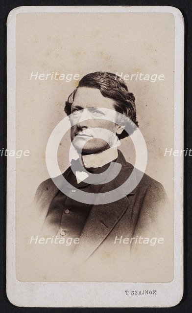 Portrait of Alfred Józef Potocki (1822-1889), ca 1875.