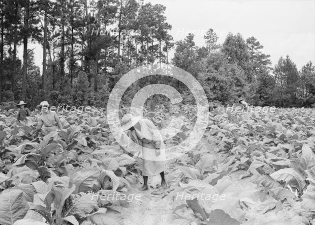 Negro tenants, men and women, and white owner's children..., Granville County, North Carolina, 1939. Creator: Dorothea Lange.