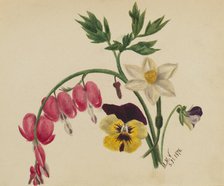 (Untitled--Mixed Flowers), 1876. Creator: Mary Vaux Walcott.