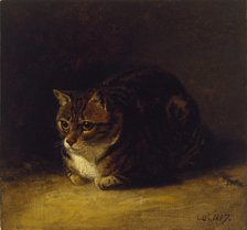Study of a Cat, 1817. Artist: Abraham Cooper.