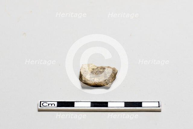 Oracle bone, inscribed, Shang dynasty, ca. 1600 - ca. 1050 BCE. Creator: Unknown.