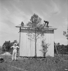 Building plank tobacco barn to replace old log one, near Chapel Hill, North Carolina, 1939 Creator: Dorothea Lange.