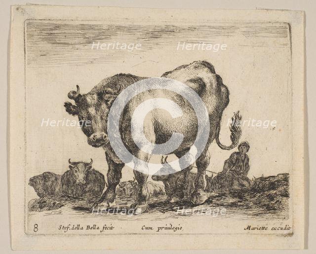 Plate 8: ox, from 'Various animals' (Diversi animali), ca. 1641. Creator: Stefano della Bella.