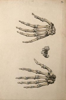 Bones of the hand: three figures, 1830-1835. Creator: Unknown.