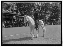 Parade On Pennsylvania Ave, between 1910 and 1921. Creator: Harris & Ewing.