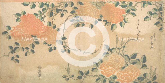 Roses, ca. 1810. Creator: Kashosai Shunsen.