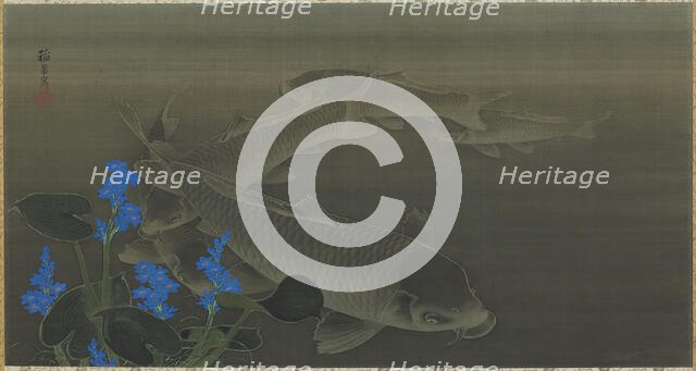 Carp, Edo period, early 19th century. Creator: Kuroda Toko.