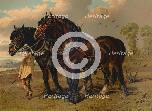 'Clydesdale Stallion & Mare', c1879. Creator: Unknown.