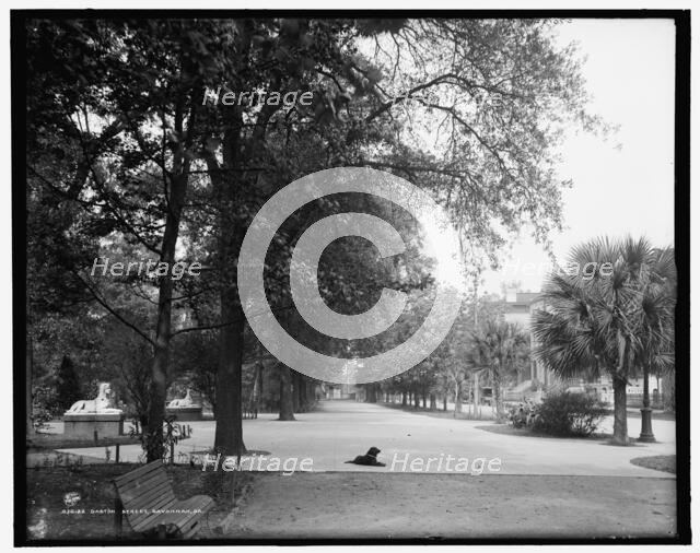 Gaston Street, Savannah, Ga., c1907. Creator: Unknown.