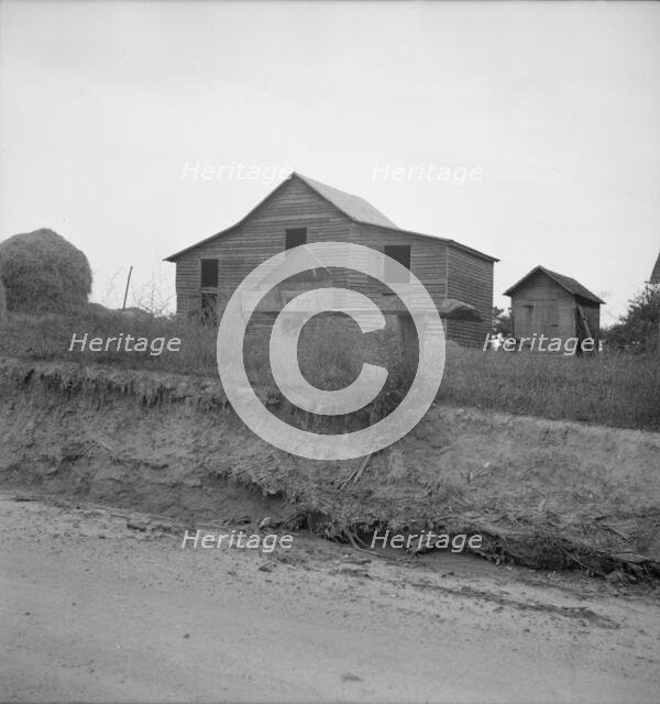 Mailbox and farm along country road in Person County, North Carolina, 1939. Creator: Dorothea Lange.