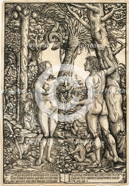 Adam and Eve, c1525. Creator: Burgkmair; Hans; the Elder (1473-1531).