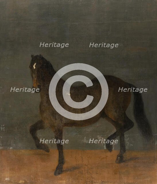 Horse called the Firecutter, c17th century. Creator: David Klocker Ehrenstrahl.