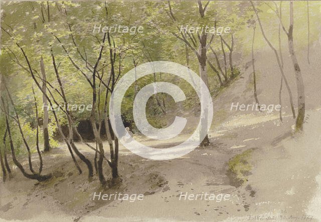 Forest path near Falkenstein, 1877. Creator: Carl Theodor Reiffenstein.