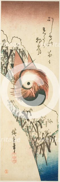 A Mandarin Duck on a Snowy Bank, 1830s. Creator: Ando Hiroshige.