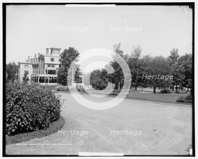 Maplewood House cottages and lawn, Maplewood, N.H., between 1900 and 1915. Creator: Unknown.