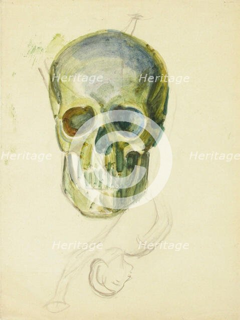 Skull, c1910s. Creator: Verner Thome.