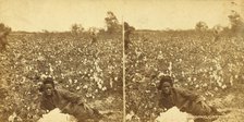 Picking cotton. [Woman resting in the field], (1868-1900?). Creator: O. Pierre Havens.