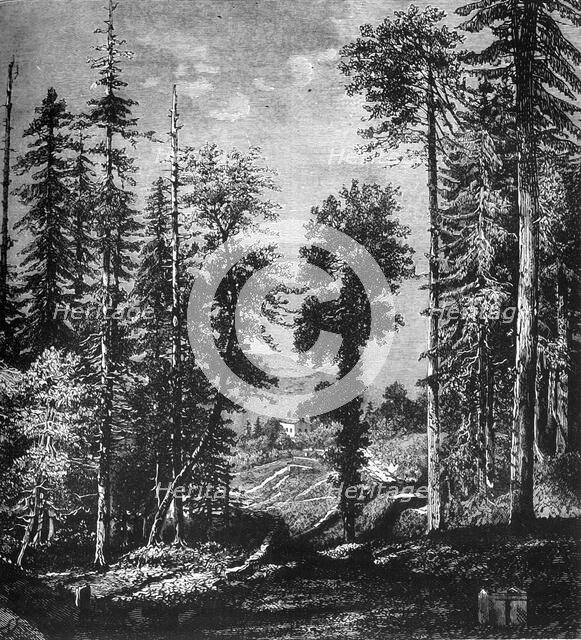 'View in the Himalayas', c1891. Creator: James Grant.