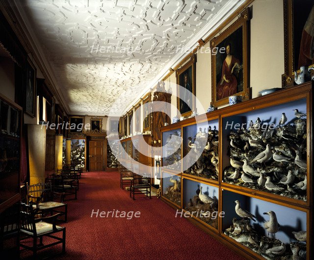 Picture Gallery, Audley End House, Essex, 1985. Artist: Unknown