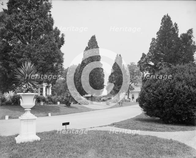 View in National Cemetery, Arlington, Va., between 1900 and 1910. Creator: Unknown.