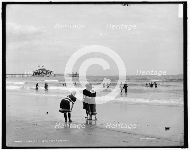 In the surf at Old Orchard, Me., between 1890 and 1901. Creator: Unknown.