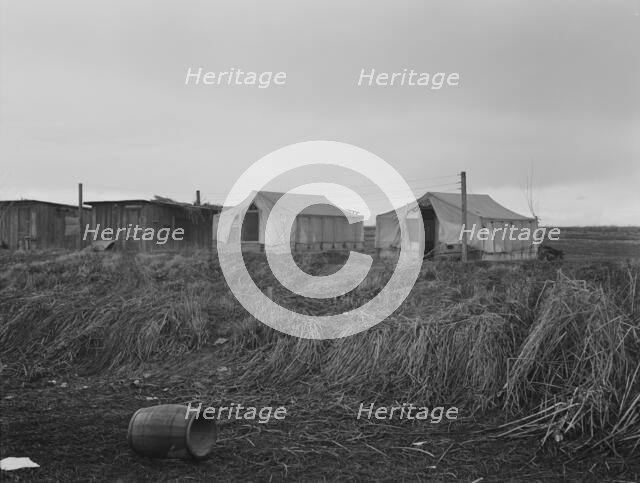 "Company" cotton pickers camp, after picking season, Buttonwillow, California, 1939. Creator: Dorothea Lange.