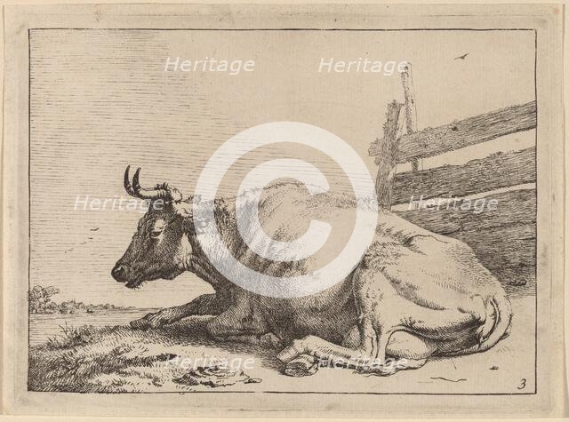 Cow Lying Down near a Fence, 1650. Creator: Paulus Potter.