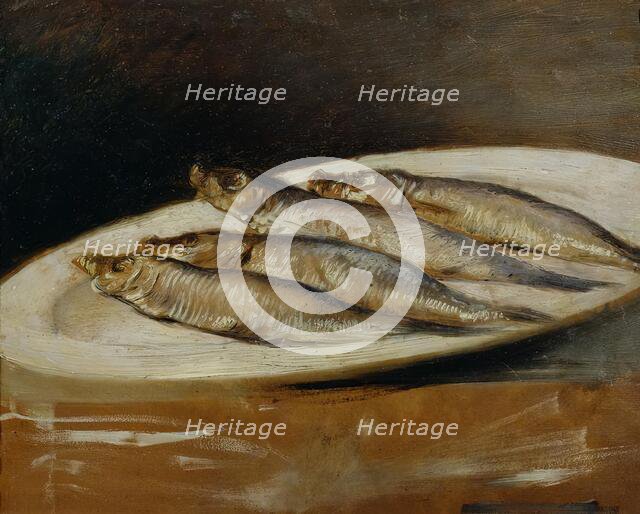Anchovy, undated. (c1830s) Creator: Josef Navratil.