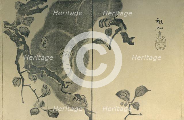 Monkey, 1815, (1924). Creator: Mori Sosen.