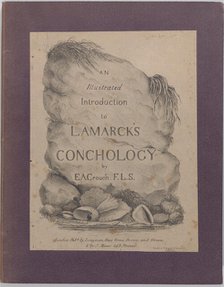 An Illustrated Introduction to Lamarck's Conchology; Contained in His Histoire Naturelle d..., 1827. Creator: Edmund A. Crouch.