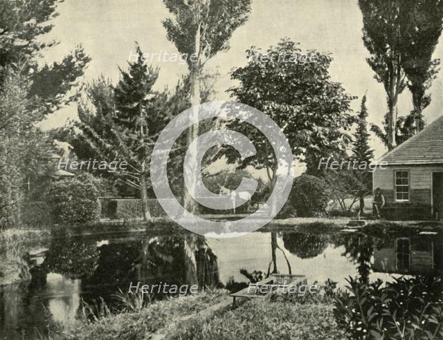 'The Salmon Ponds, New Norfolk', 1901. Creator: Unknown.