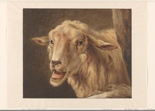 Sheep head, 1808. Creator: Jean Zacherie Mazel.