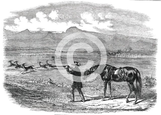 Springbok Hunting in South Africa, 1850. Creator: Unknown.