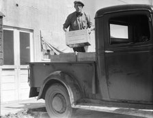Loading milk at the self-help cooperative dairy, near Santa Ana, California, 1936. Creator: Dorothea Lange.