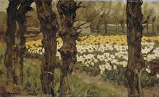 Tulip Fields, 1880-1937. Creator: Antonie Louis Koster.