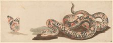Snake and Butterfly, 1680s/1690s. Creator: Workshop of Johann Teyler.