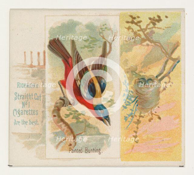 Painted Bunting, from the Song Birds of the World series (N42) for Allen & Ginter Cigarett..., 1890. Creator: Allen & Ginter.