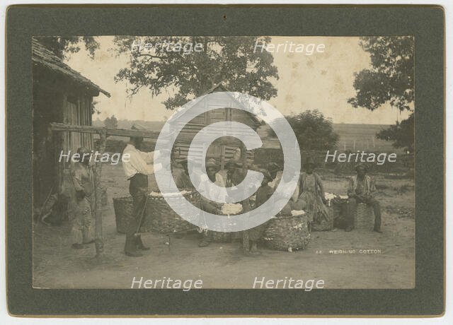 No. 44, Weighing Cotton, ca. 1895. Creator: A. W. Möller.