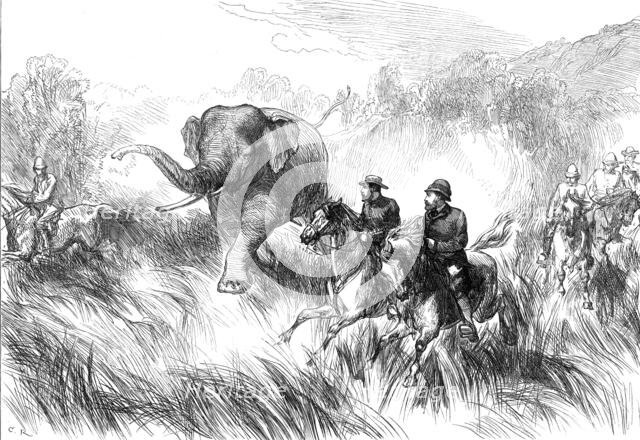 The Prince of Wales in the Terai: Mr. Rose chased by a Wild Elephant...1876. Creator: C.R..